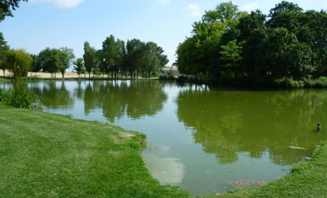 Residence Val & Rom Jarnac-Champagne المظهر الخارجي الصورة